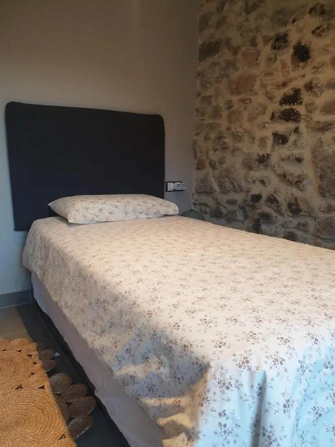 Apartament Centric A Ripoll Daire