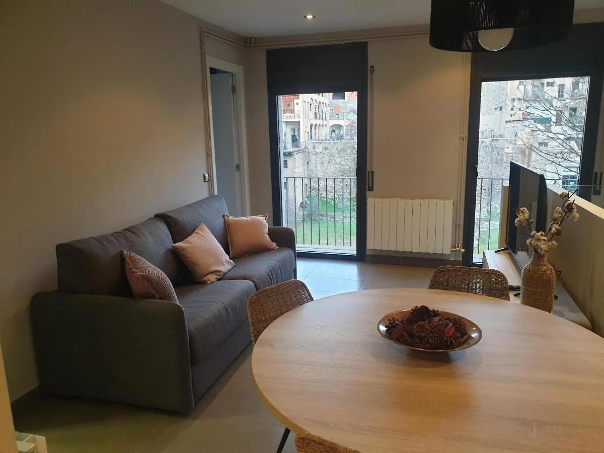 Apartament Centric A Ripoll Daire